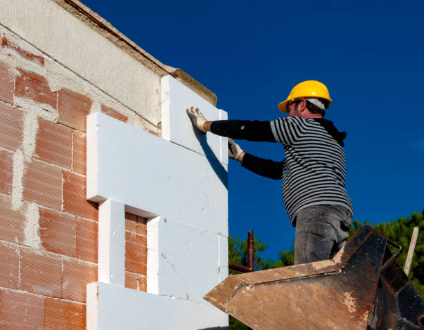 Best Geographic-Specific Insulation Services in South Park, WY