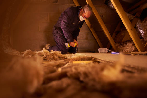 Best Geographic-Specific Insulation Services in South Park, WY