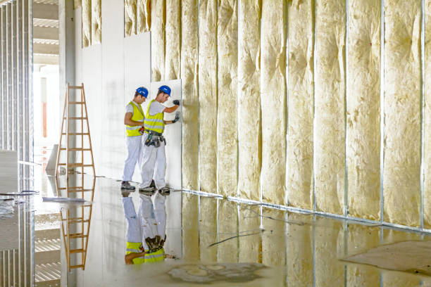 Best Fiberglass Insulation in South Park, WY